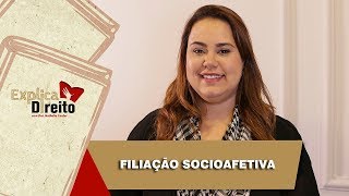 Explica Direito Filiação Socioafetiva  2019 [upl. by Chev]