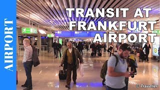 TRANSIT WALK AT FRANKFURT Airport FRA Terminal 1  Connection Flight Transfer Arriving amp Departing [upl. by Jalbert439]